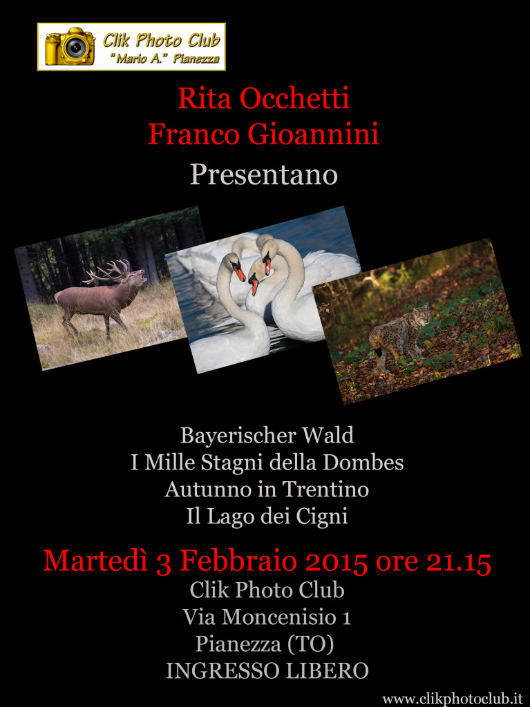 Occhetti_feb_2015